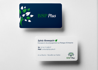 BSP Plus