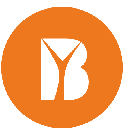 Logo-Ecole-Boisard-ecoledeproduction-vaulx-en-velin_favicon2